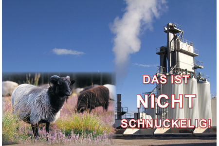 Photo de la pétition :Kein Asphaltmischwerk in der Heide!