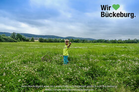 Bild på petitionen:Kein EDEKA/Bauerngut-Logistikzentrum im Landschaftsschutzgebiet!
