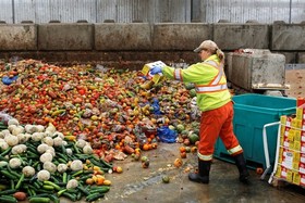 Image of the petition: Kein Essen mehr verschwenden