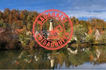 Bild der Petition Kein Kahlschlag am Loisachufer - Wir brauchen unsere Bäume!
