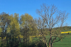 Bild der Petition: Kein Solarpark Lindenberg (Thomasberg/Siebig) - Erhalt von Natur, Naherholungsgebiet, Landwirtschaft