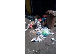 Bild der Petition: Kein Müll mehr in Stade - Altländer Vierteil !