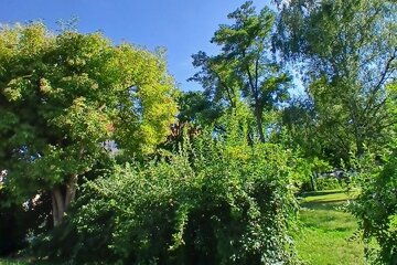 Εικόνα της αίτησης Kein neues Wohnhaus auf dem Lönsweg