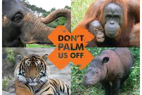 Снимка на петицията:Kein Palmöl bei Coop und Migros
