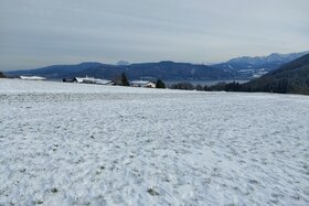 Bild der Petition: Kein Platz für Immobilienspekulanten in Berg im Attergau