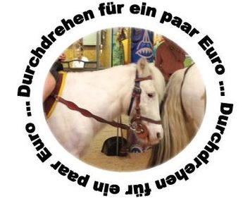 Bild på petitionen:Kein Ponykarusell mehr beim Landauer Markt!