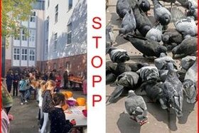 Obraz petycji: Kein Taubenturm am Albert-Schweitzer-Gymnasium!