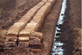 Bild der Petition: Kein Torf mehr für Blumenerde - Torf wird für Whiskyproduktion benötigt