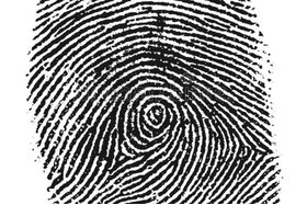 Зображення петиції: Kein verpflichtender Fingerabdruck auf dem Personalausweis