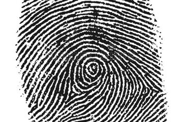 Bild der Petition Kein verpflichtender Fingerabdruck auf dem Personalausweis