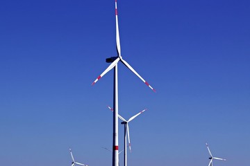 Bild der Petition Kein weiteren Windräder im Münsterwald Roetgen