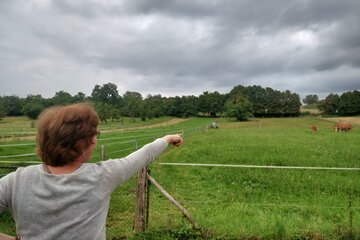 Bild der Petition Kein weiteres Neubaugebiet Schlossäcker