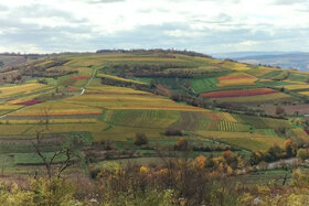 청원서 이미지: Kein Wertstoffhof an der L415 – für Sicherheit und Natur im Welzbachtal!