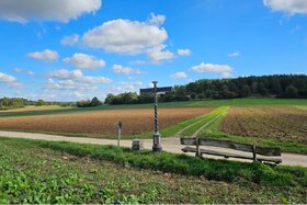Picture of the petition:Kein Windpark am Naturschutzgebiet Venusberg