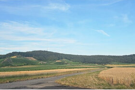 Bild av namninsamlingen: Kein Windpark im Friedrichsberg-Wald bei Greuth – für den Schutz unserer Natur!