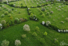 Bild der Petition: KEIN Windpark in Bassum-Röllinghausen