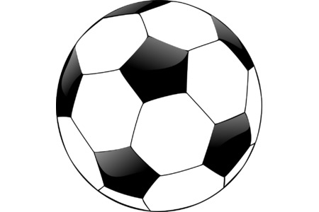 Bild der Petition: Keine Änderung der Fussballgrößen im Kinderfussball