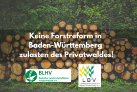 Bild der Petition: Keine Forstreform in Baden-Württemberg zulasten des Privatwaldes!