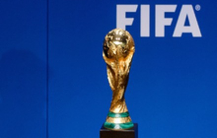 Foto van de petitie:Keine Fußball WM im Winter 2022 in Katar