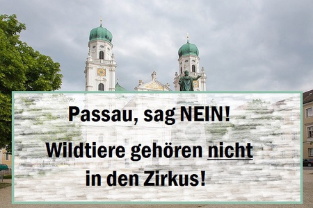 Bild der Petition: Keine Genehmigungen mehr für Zirkusse mit Wildtieren im Stadtgebiet Passau