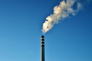 Bild der Petition Keine Industrie-/Gewerbeflächen in Mogendorf Ortsausgang Vielbach