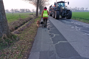 Bild der Petition Keine Leitplanke an der Moormerlandstrasse -  Keine Rennstrecke und Temporeduzierung auf 50 km/h