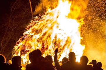 Bild der Petition Keine Osterfeuer mehr aus Rücksicht auf Umwelt, Tier & Mensch
