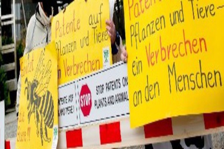 Picture of the petition:Keine Patente auf Pflanzen,Tiere,Saatgut und Wasser in der EU