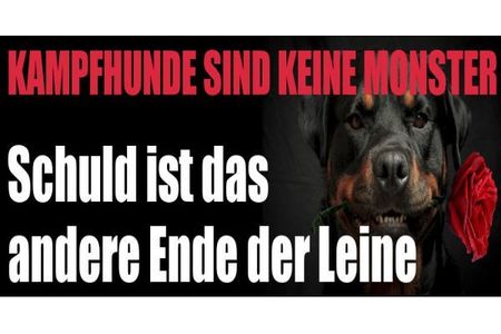 Bild der Petition: Keine überzogene Steuer für Listenhunde in Warstein