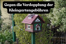 Imaginea petiției: Keine Verdopplung der Kleingartengebühren in Greifswald