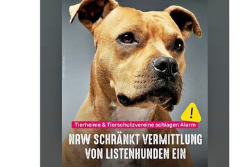 Image de la pétition Keine Verschärfung Für American Bullys In Nrw