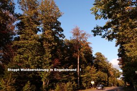 Kép a petícióról:Keine Waldrodung für Gewerbe in Engelsbrand