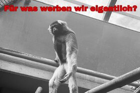 Bild der Petition: Keine Werbung für Zoos