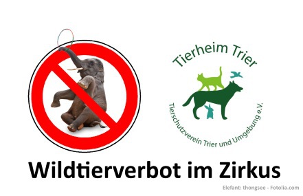 Picture of the petition:Keine Wildtier-Dressur in Trier!