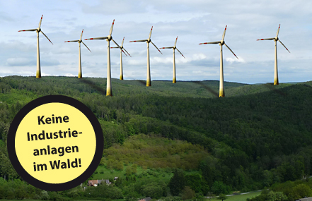 Foto della petizione:Keine Windkraft-Anlagen im Wald von Schwarzenbach!