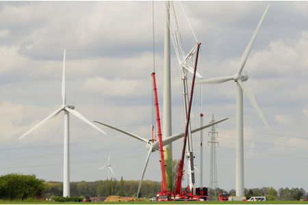 Foto della petizione:Keine Windkraft im Ziegenmelkerbrutgebiet