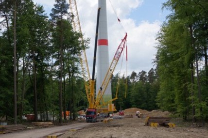 Foto van de petitie:Keine Windkraftanlagen im Wald im Naturpark Taunus