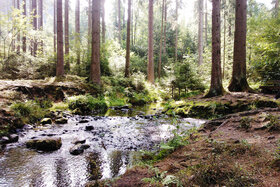 Bild der Petition: Keine Windkraftanlagen in den Wäldern des  Naturparks Eggegebirge/Teutoburger Wald