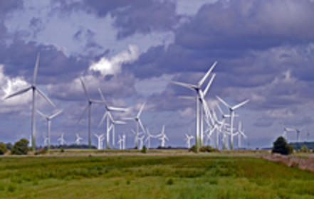 Bild der Petition: Keine Windkraftanlagen in Hasselt