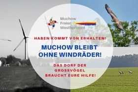 Bild der Petition: Keine Windräder im Dorf der Großvögel Muchow in Westmecklenburg!
