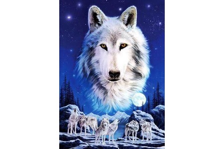 Peticijos nuotrauka:Keine Wolfstötungen