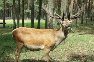 Bild der Petition Keine Zerstörung der Natur (Natur- und Landschaftsschutz) für Industrie-, Wohnungs- und Freizeitbau