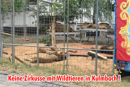 Slika peticije:Keine Zirkusse mit Wildtieren in Kulmbach
