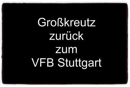 Kép a petícióról:Kevin Großkreutz zurück zum VFB Stuttgart