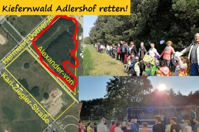 Foto della petizione:Kiefernwald Adlershof retten - ENDLICH handeln: Vernichtung von Bäumen & Wäldern stoppen