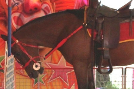 Picture of the petition:Kirmes ohne Ponyleid