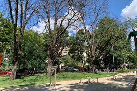 Image of the petition: Kiszáradt, balesetveszélyes fák kivágása és pótlása BP XI Diószegi utcai játszótéren