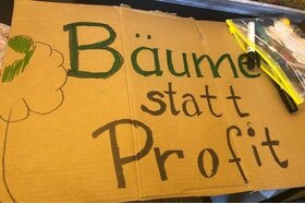 Снимка на петицията:Klimagerechtes Bauen im Margarineviertel (Eltviller Straße/ Rüdesheimer Straße in 53175 Bonn)