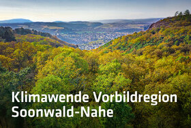 Bild på petitionen:Klimawende Vorbildregion Soonwald/Nahe statt Windindustriegebiet Naheland