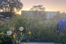 Դիմումի պատկերը՝ Köln braucht Utopiastadt – Jetzt CG-Flächen fürs Gemeinwohl sichern!